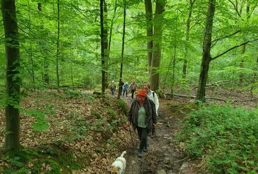 ENCORE UNE BELLE RANDONNEE DE 6 KM DANS LA REGION D'ASSESSE.